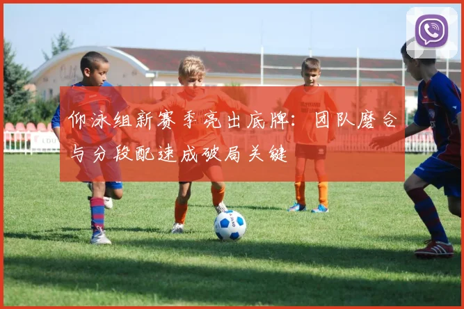 仰泳组新赛季亮出底牌：团队磨合与分段配速成破局关键