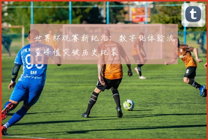 世界杯观赛新纪元：数字化体验流量峰值突破历史纪录